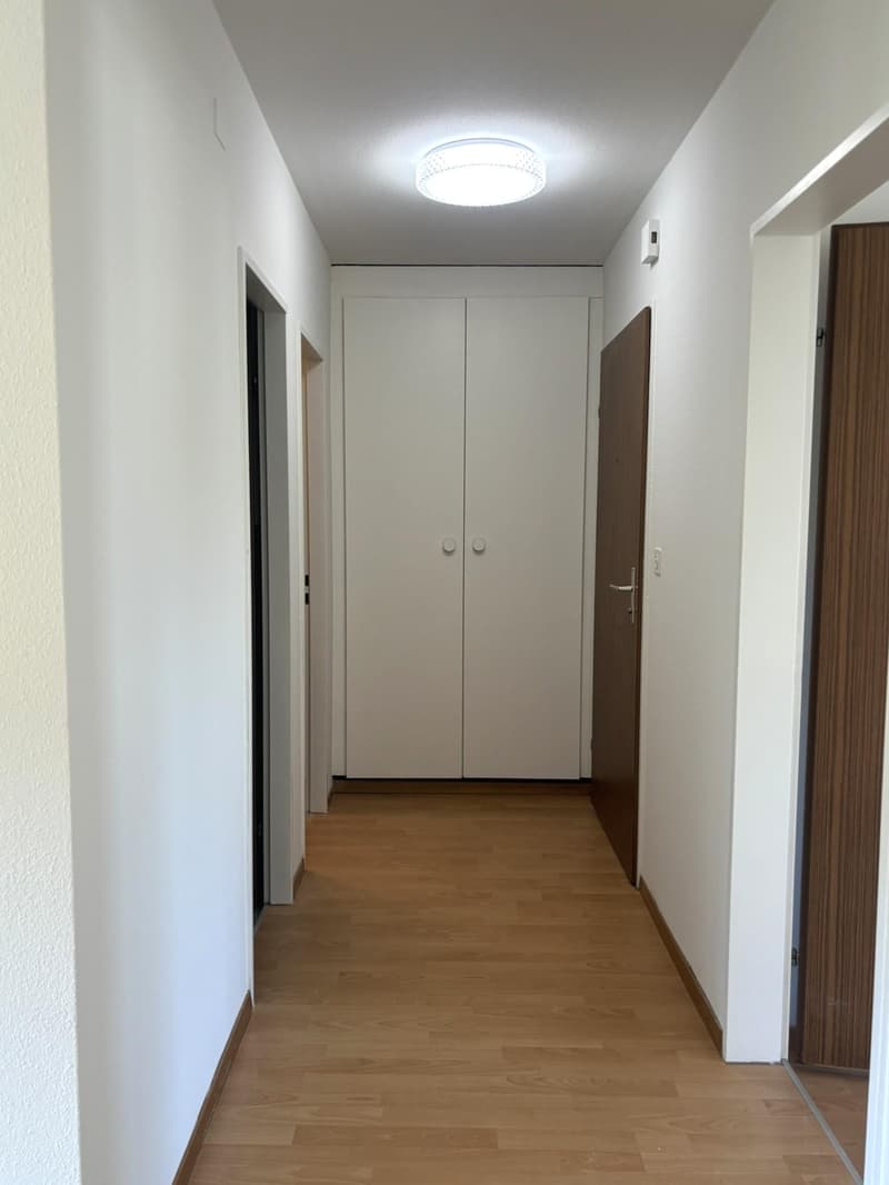 3.5 Zimmerwohnung in Embrach (6)