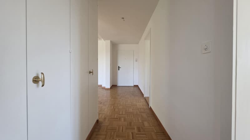 3.5 Zimmerwohnung in Zürich (10)
