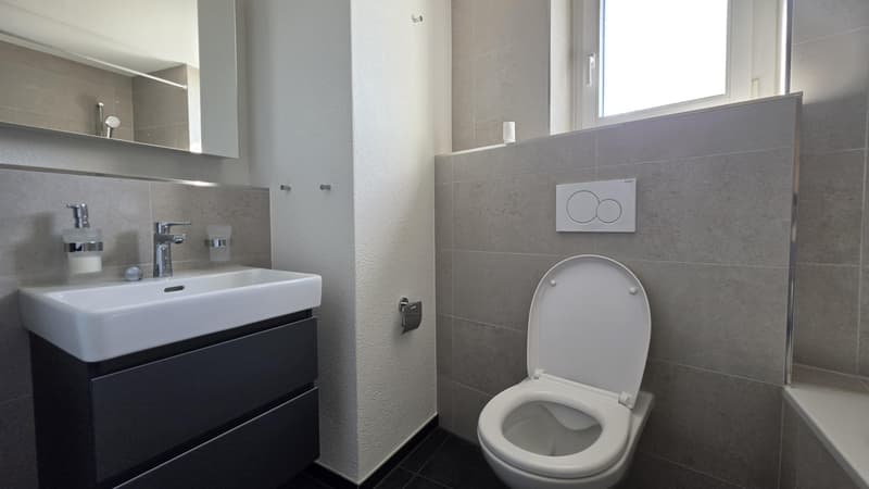 3.5 Zimmerwohnung in Zürich (11)