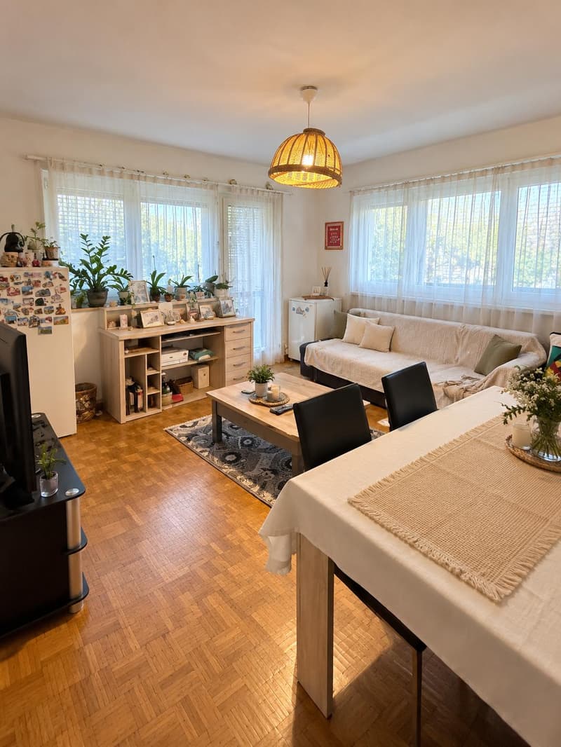 Zentral gelegene 3-Zimmer-Wohnung in Zürich Seebach (4)