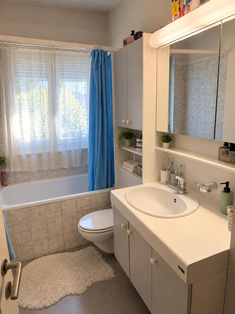 Zentral gelegene 3-Zimmer-Wohnung in Zürich Seebach (6)