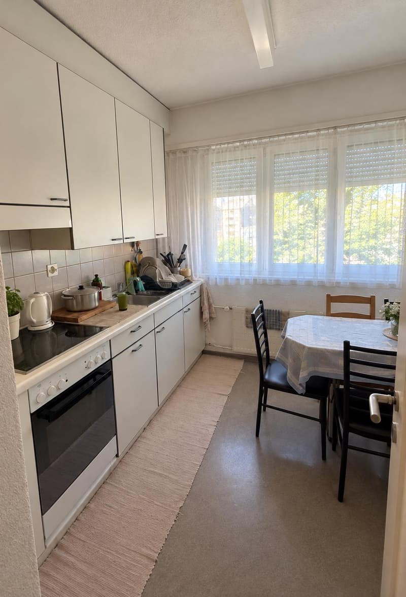 Zentral gelegene 3-Zimmer-Wohnung in Zürich Seebach (2)