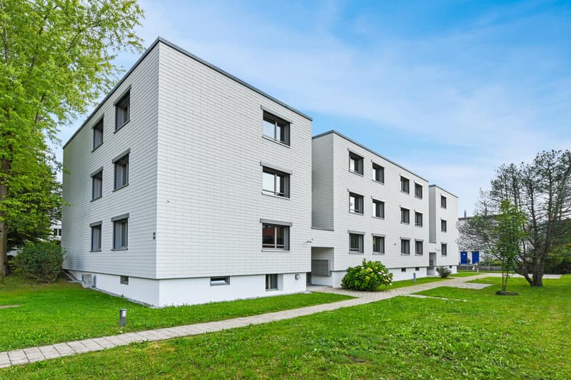1.0 Zimmerwohnung in Dübendorf (1)