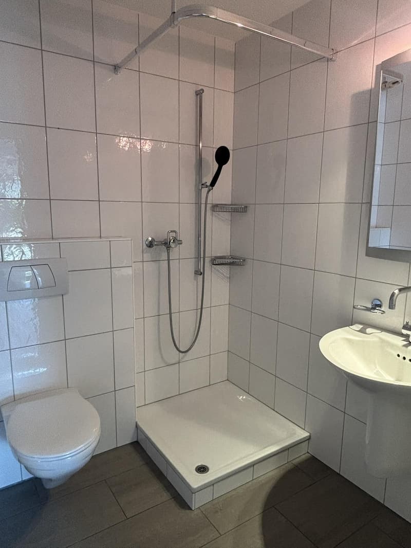 Charmante 2½-Zimmer Wohnung mit Garten und Sitzplatz (6)