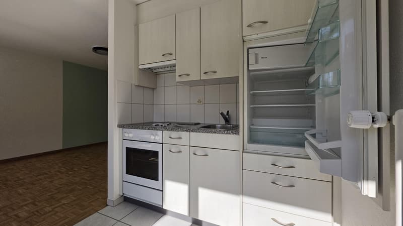 1.0 Zimmerwohnung in Winterthur (4)