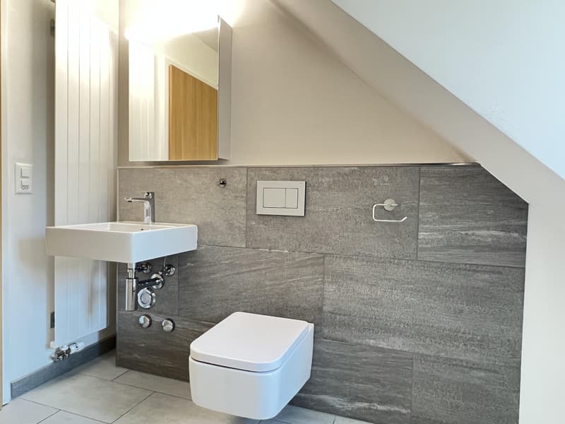 2½-Zimmerwohnung in Winterthur (6)