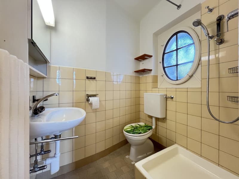 2-Zimmerwohnung in Winterthur (BEFRISTETES Mietverhältnis) (5)