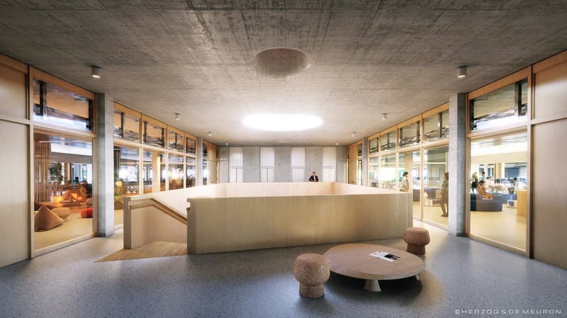 1'450 m² Schaufenster im Erdgeschoss: Showroom, Café oder Praxis im Main Campus, Basel (9)