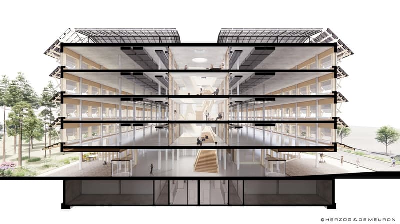 1'450 m² Schaufenster im Erdgeschoss: Showroom, Café oder Praxis im Main Campus, Basel (10)