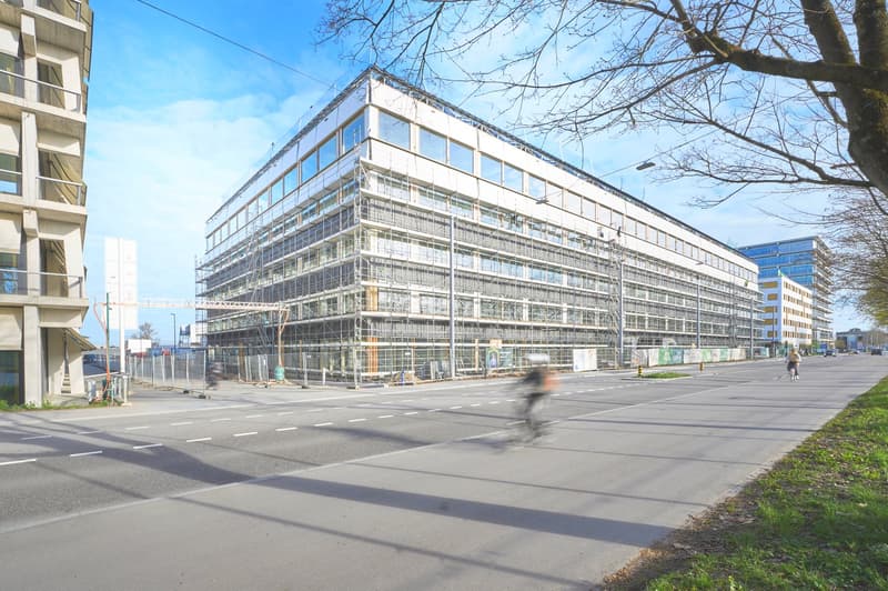 1'450 m² Schaufenster im Erdgeschoss: Showroom, Café oder Praxis im Main Campus, Basel (14)