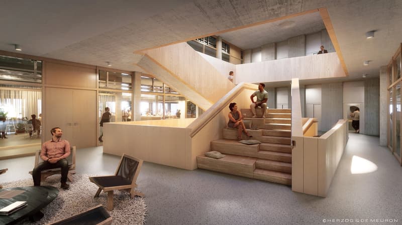 1'450 m² Schaufenster im Erdgeschoss: Showroom, Café oder Praxis im Main Campus, Basel (5)
