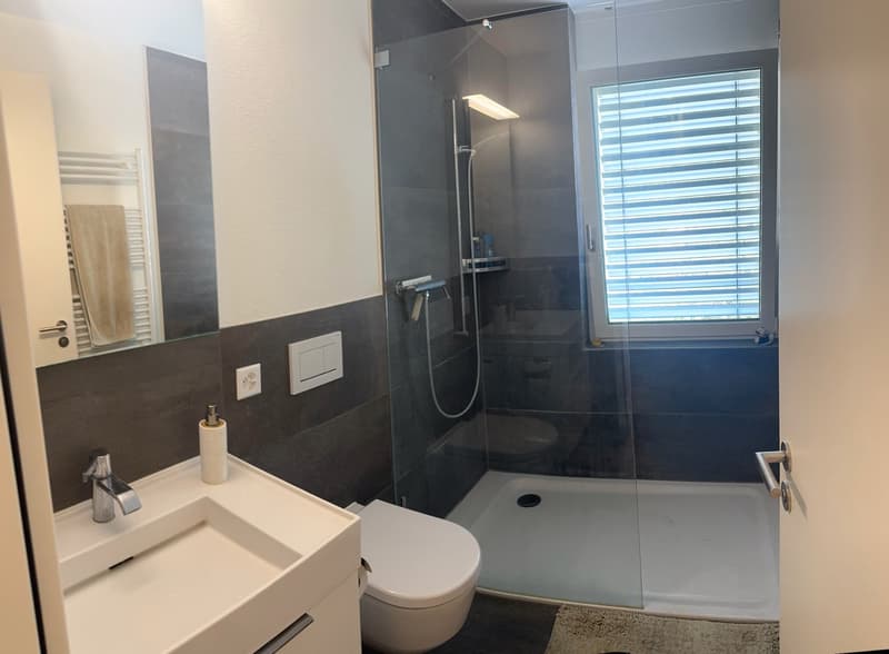 Die Dusche mit WC