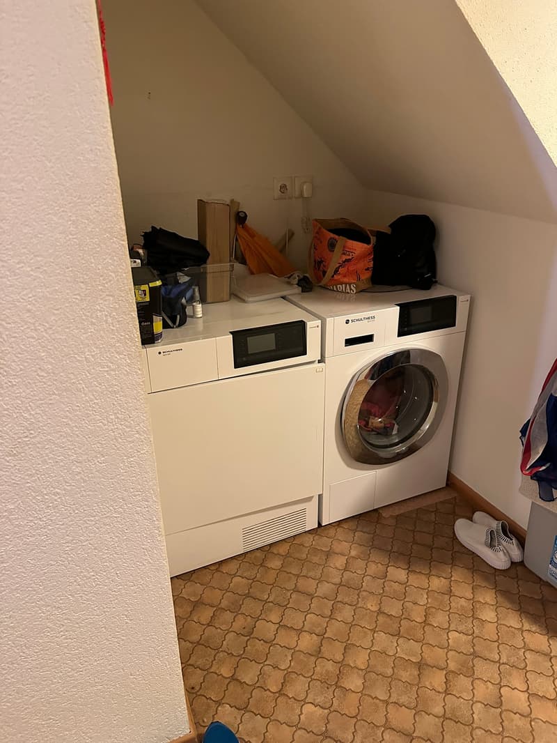 3-Fam-Haus mit Ladenlokal , Magazin, Parkplätzen (14)
