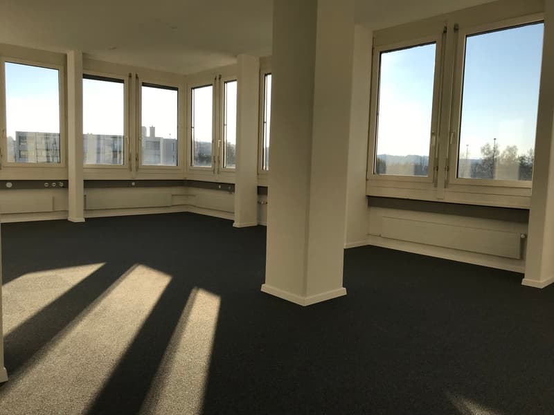 empty room, large windows, white walls, black carpet, pillars