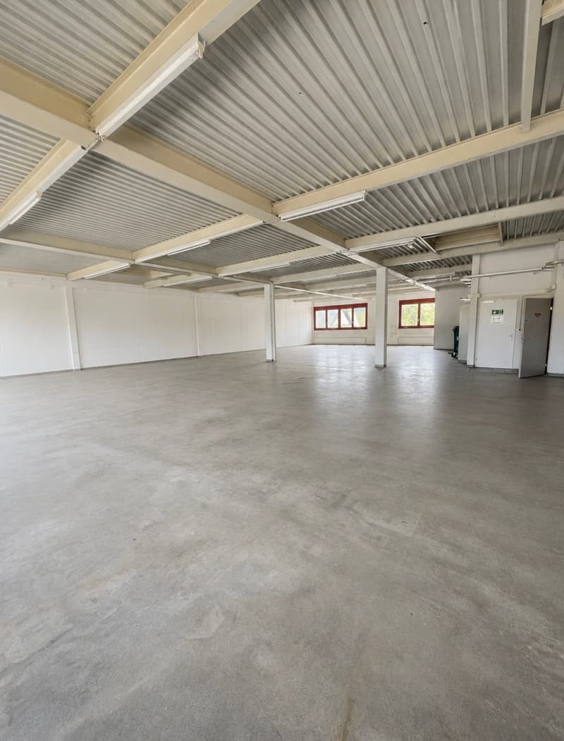 Grosse Gewerbefläche sucht kreative Pop-Up-Unternehmen (3)