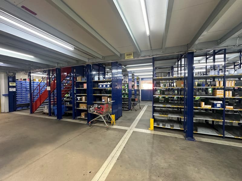 Ampia superficie commerciale e logistica in posizione strategica a Barbengo (6)