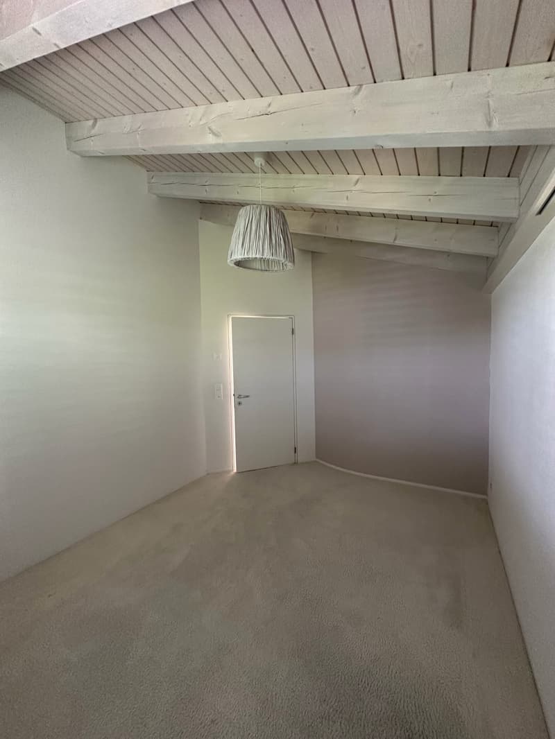 Modernes Einfamilienhaus mit grossem Garten und Balkon! (11)