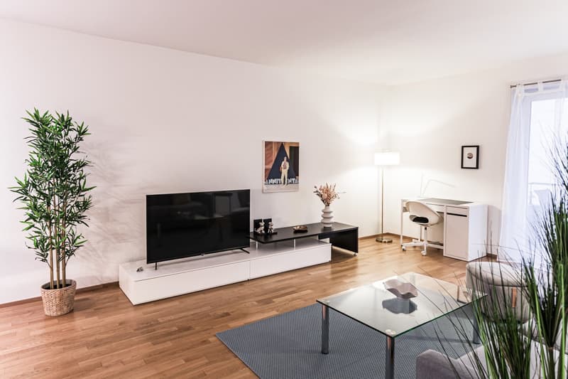 A contemporary living room featuring a large flat screen TV on a stand, a black desk with a floral vase, a glass table, a comfortable chair, and a potted bamboo plant. The room has white walls, a wooden floor, and a window with a white curtain.