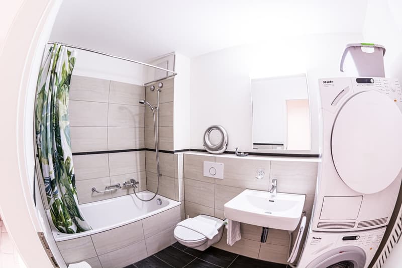 modern bathroom, bathtub, shower, sink, toilet, washing machine, dishwasher