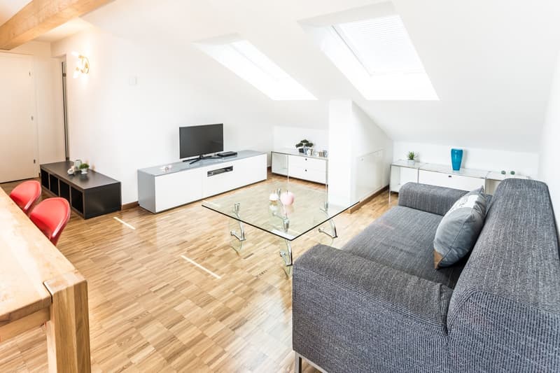 Modern Apartment with roof top terrace – Zurich Oerlikon (3)
