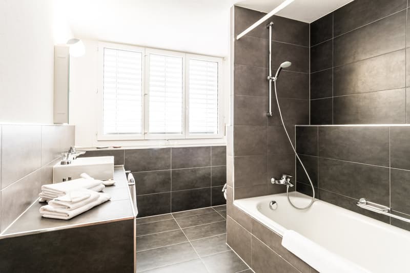 Modern Apartment with roof top terrace – Zurich Oerlikon (6)