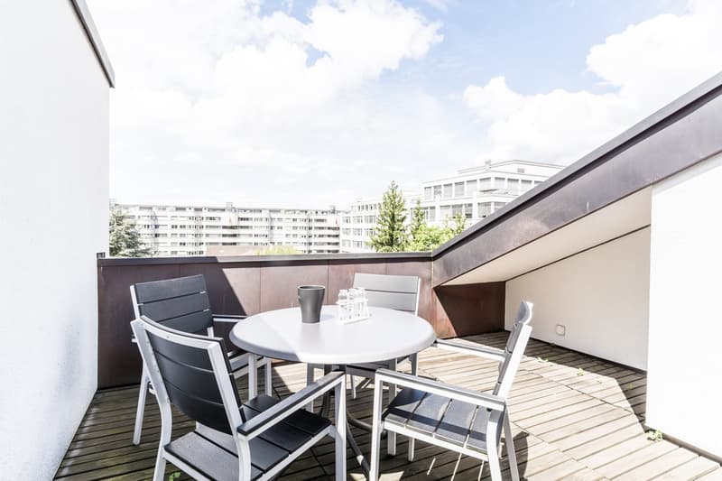 Modern Apartment with roof top terrace – Zurich Oerlikon (7)
