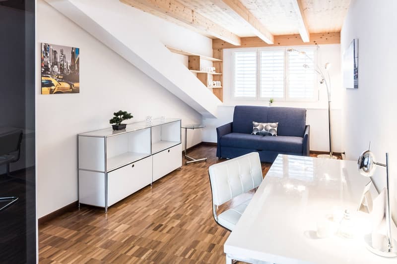 Modern Apartment with roof top terrace – Zurich Oerlikon (2)
