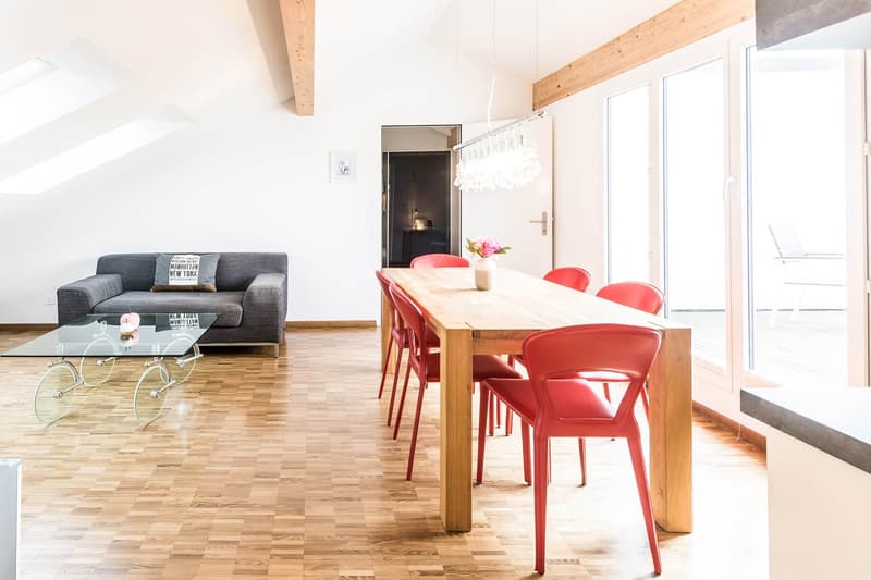 Modern Apartment with roof top terrace – Zurich Oerlikon (4)