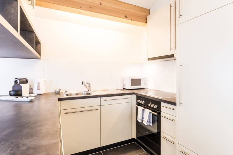 Modern Apartment with roof top terrace – Zurich Oerlikon (5)