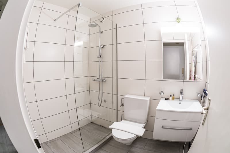 Design Apartments – Zurich City (7)