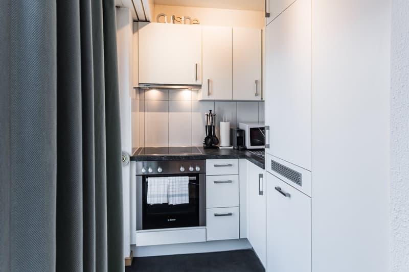 Design Apartments – Zurich City (4)