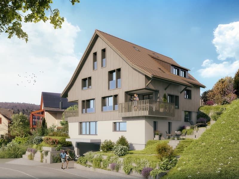 Aussenvisualisierung Südfassade Sonnhaldenstrasse 11