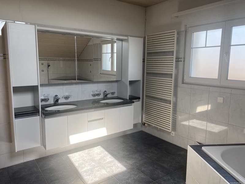 Grosses Badezimmer