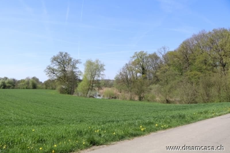 Aussicht Teil Bommerweiher