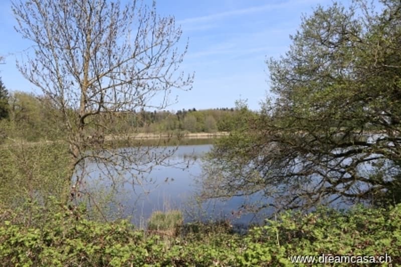 Teil Bommer Weiher