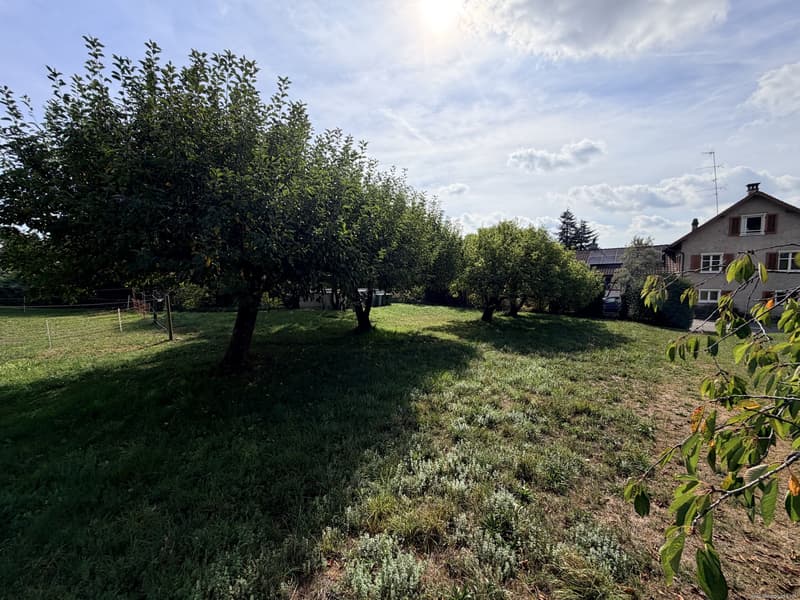 Blick Richtung Süden