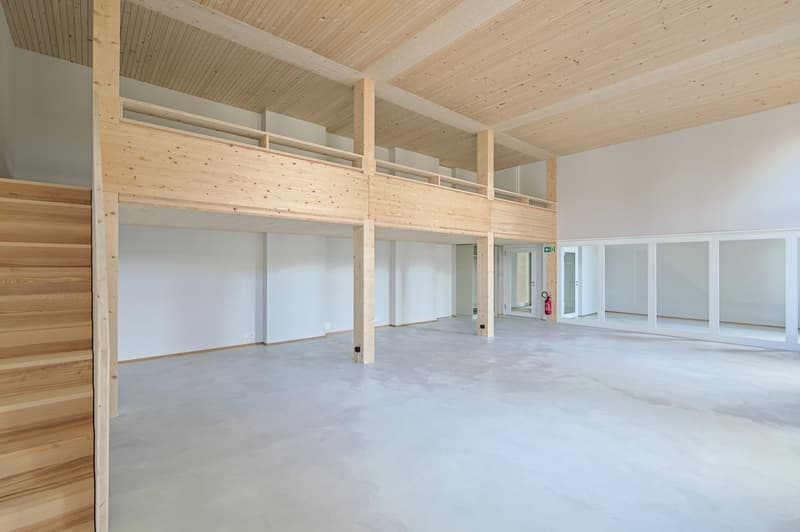 Attraktive Büroräume (Atelier) in Neubau ca. 205.3 m2 - Genossenschaft! (2)