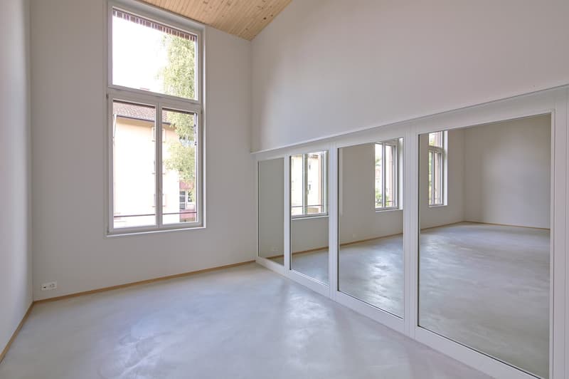 Attraktive Büroräume (Atelier) in Neubau ca. 205.3 m2 - Genossenschaft! (4)