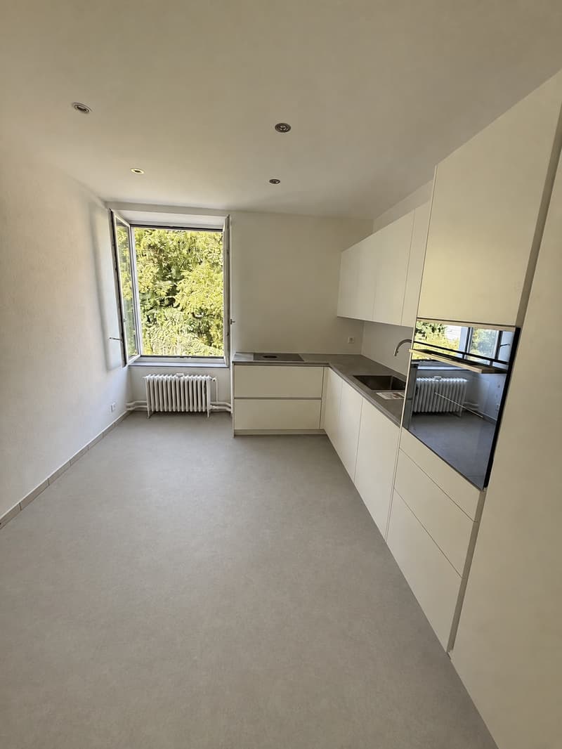 Neu sanierte 6-Zimmerwohnung im 1.OG ca. 160 m2 (Wohnen/Arbeiten) (5)
