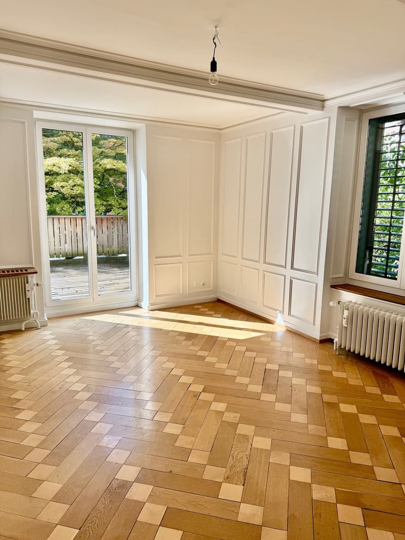 Neu sanierte 6-Zimmerwohnung im 1.OG ca. 160 m2 (Wohnen/Arbeiten) (2)