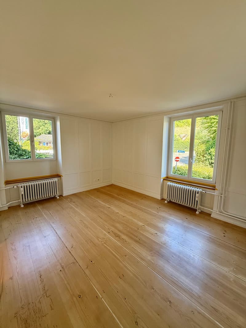 Neu sanierte 6-Zimmerwohnung im 1.OG ca. 160 m2 (Wohnen/Arbeiten) (8)