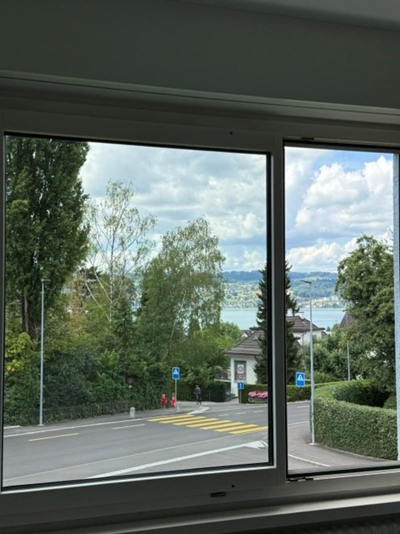 Aussicht vom Esszimmer zum See