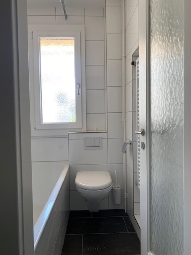 Gemütliche 2-Zimmer-Wohnung mit Balkon in Zürich-Albisrieden (5)