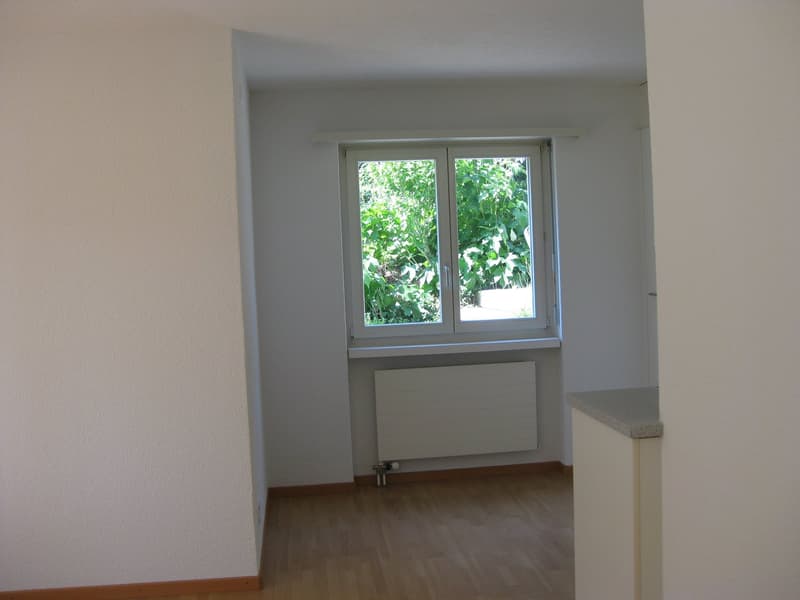 Wohn-Esszimmer