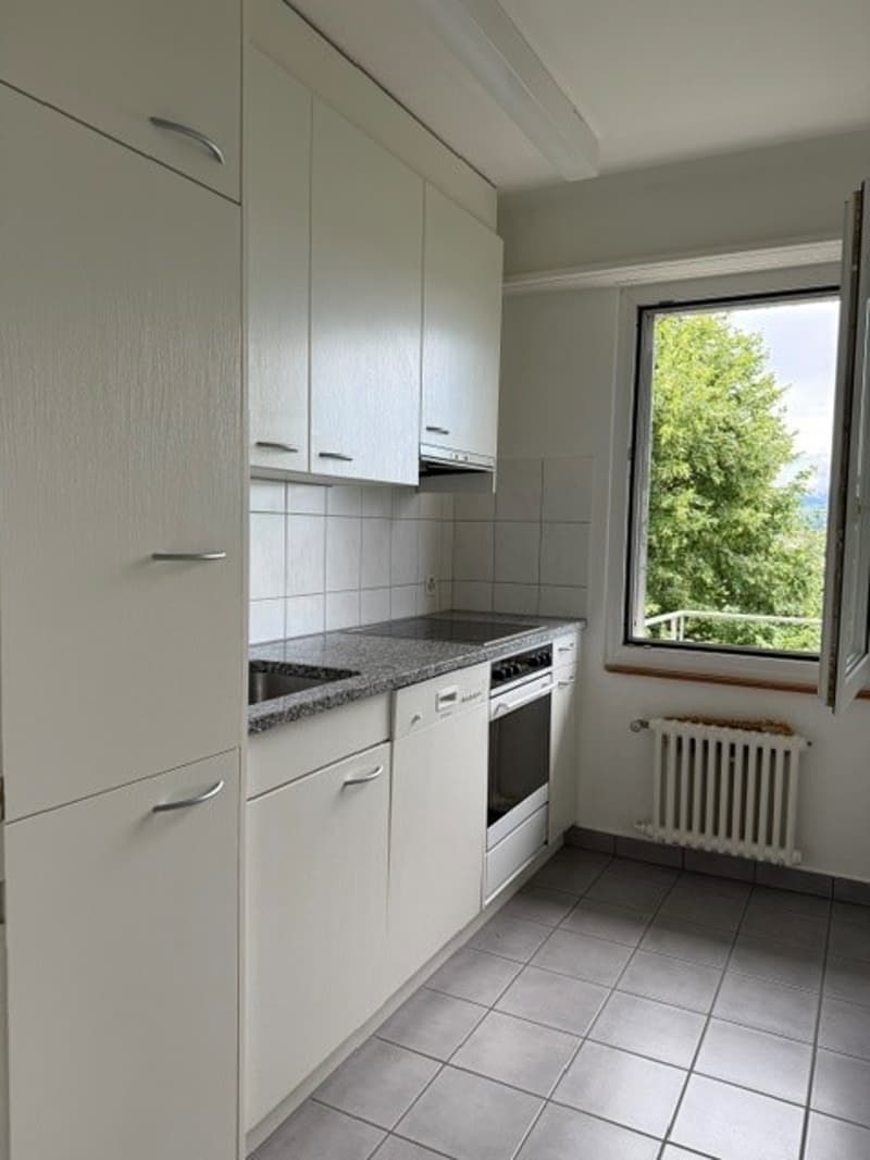 Befristete Mietdauer! Charmante 3-Zimmer-Wohnung im Erdgeschoss in Stäfa – sofort verfügbar! (1)