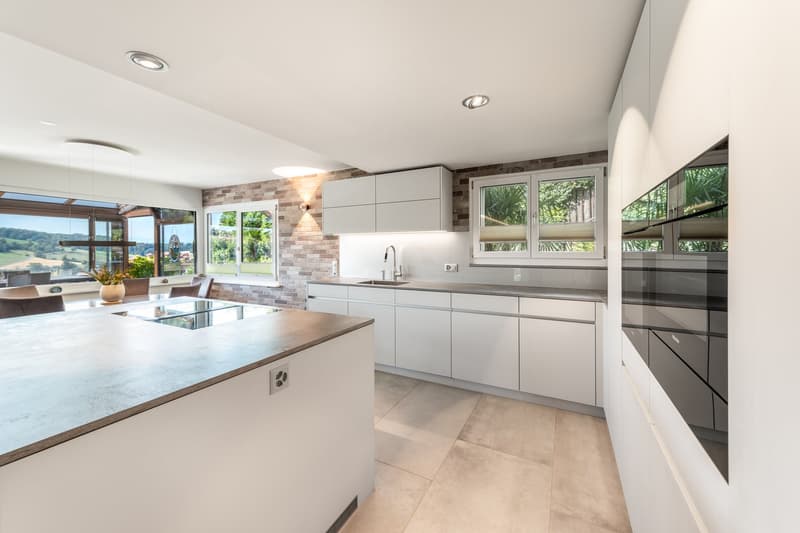 Hochwertiges Terrassenhaus mit Panoramablick in Rudolfstetten-Friedlisberg (8)