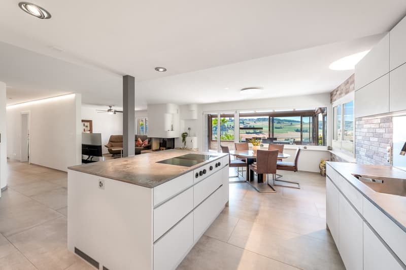 Hochwertiges Terrassenhaus mit Panoramablick in Rudolfstetten-Friedlisberg (9)