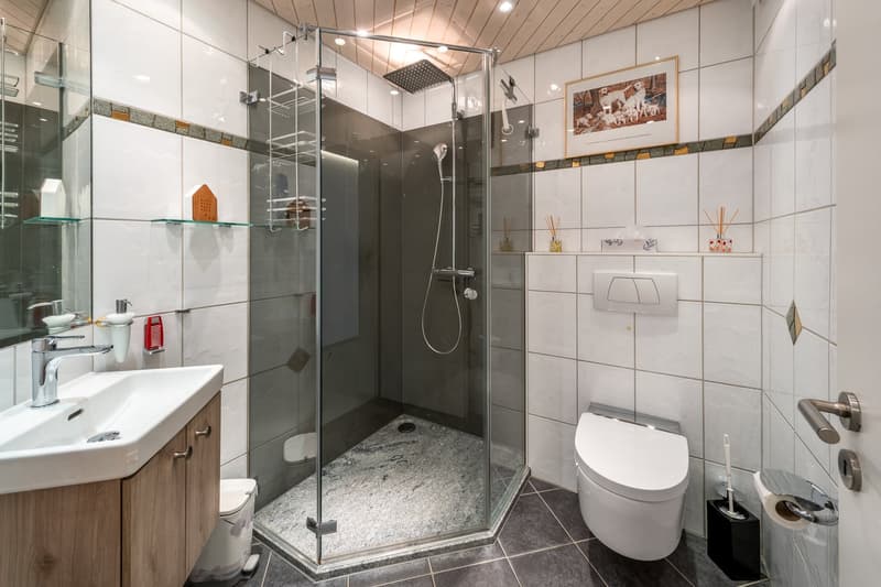 Hochwertiges Terrassenhaus mit Panoramablick in Rudolfstetten-Friedlisberg (13)