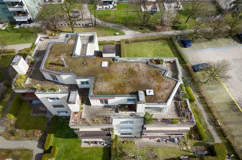 Adlerhorst mit 180 m² grossem Dachgarten (1)