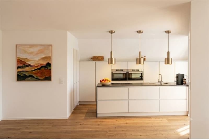 Exklusive 7 1/2-Zimmer Neubau-Dachwohnung (4)